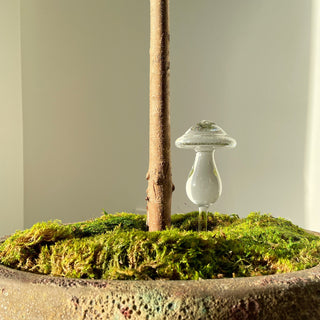 Mushroom Self Watering Glass - Filtrum Home