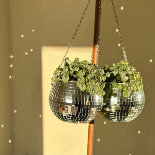 Disco Ball Planter - Filtrum Home
