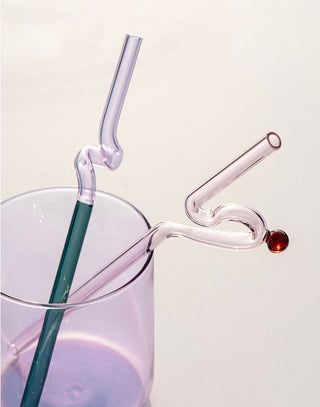 Curvy Glass Straw Set - Filtrum Home