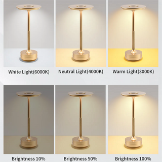 Lumina Touch USB-C Lamp