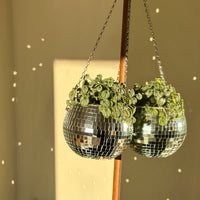 Disco Ball Planter - Filtrum Home